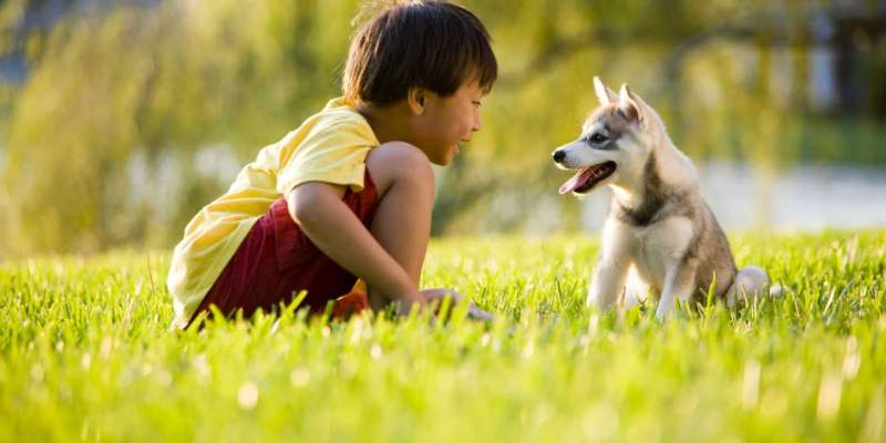 Giấc mơ thấy bạn thân thiết bị chó con cắn vào chân