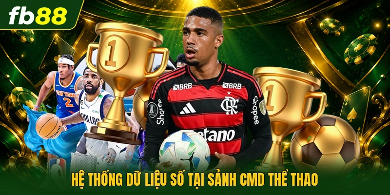 Hệ thống dữ liệu số tại sảnh CMD thể thao