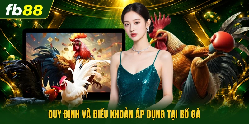 Quy định và điều khoản áp dụng tại bồ gà