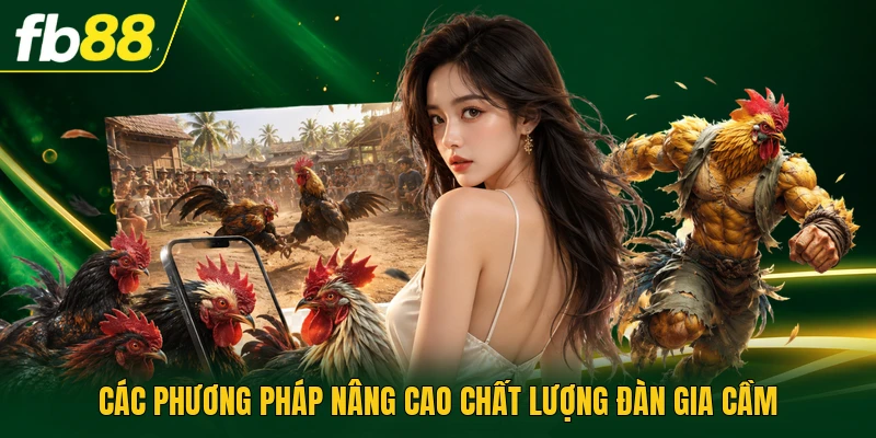 Các phương pháp nâng cao chất lượng đàn gia cầm