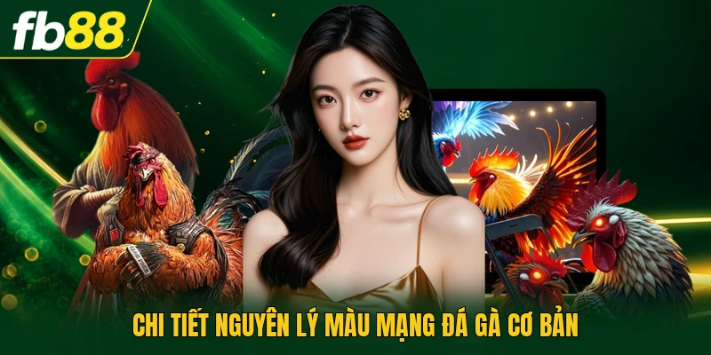 Màu Mạng Đá Gà Và Chiến Thuật Để Chọn Trận Chuẩn Xác 1 Chi tiết nguyên lý màu mạng đá gà cơ bản