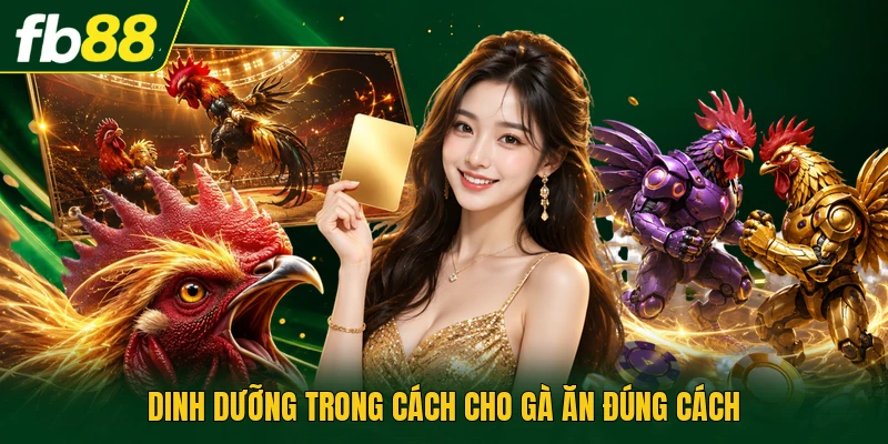 Cách Cho Gà Ăn Đúng Cách - Kỹ Thuật Dinh Dưỡng Thực Tế 1 Dinh dưỡng trong cách cho gà ăn đúng cách