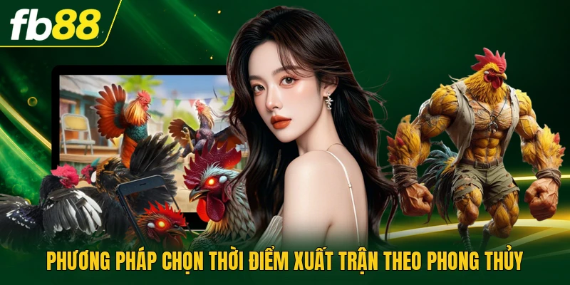 Màu Mạng Đá Gà Và Chiến Thuật Để Chọn Trận Chuẩn Xác 3 Phương pháp chọn thời điểm xuất trận theo phong thủy